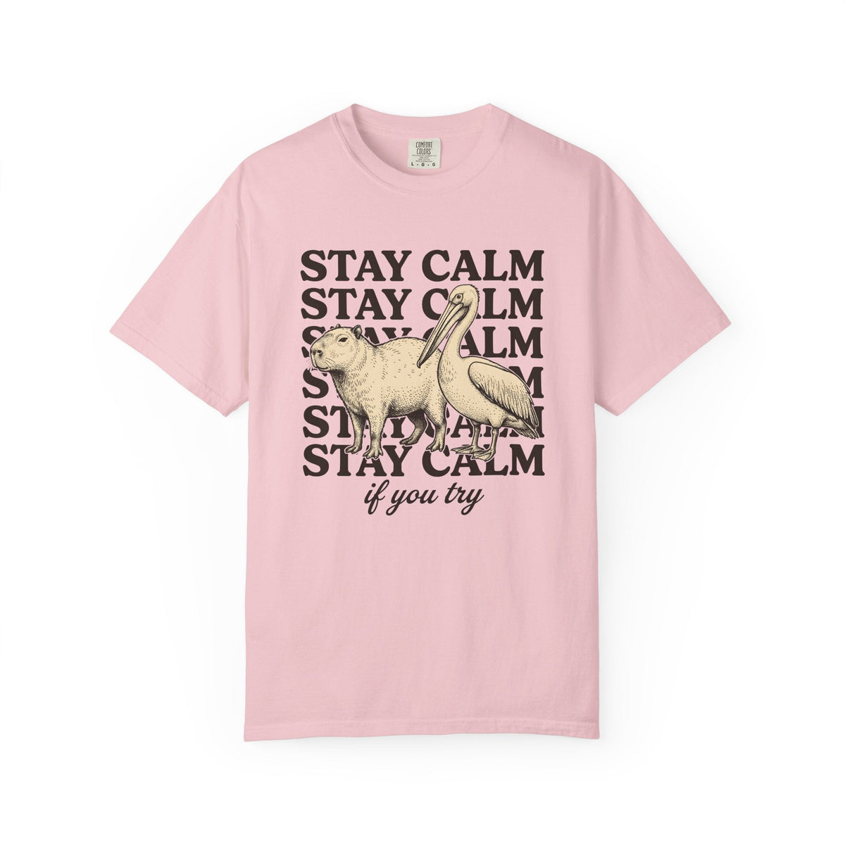 Capybara Bird Shirt Funny Wildlife Unisex Gift Retro Tee product image 3