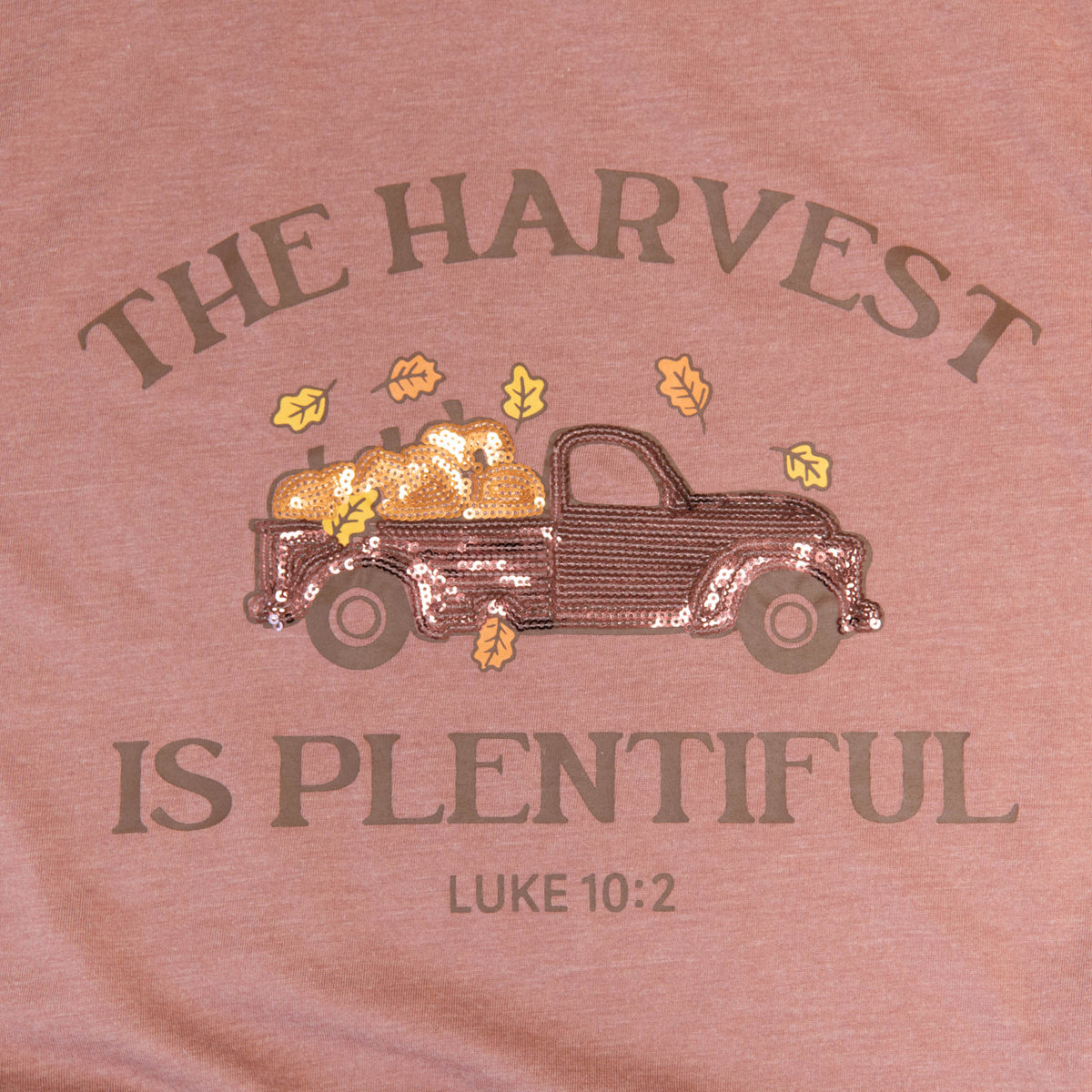 The Harvest is Plentiful Sequin Tee - 15 product image 3