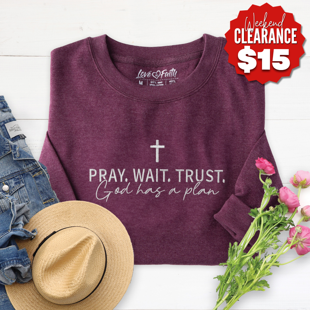 Embroidered God Has a Plan Sweatshirt product image 1